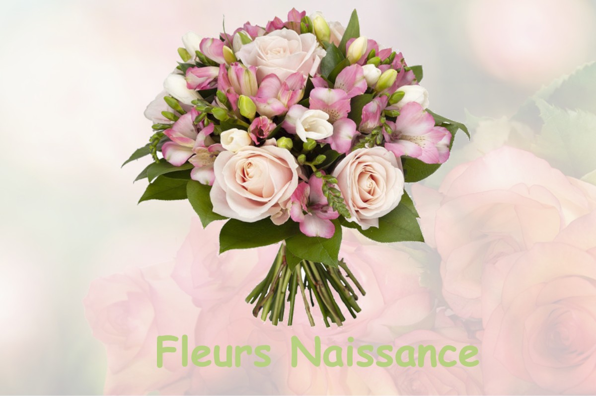 fleurs naissance CERISY-BELLE-ETOILE